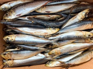 Гренки: Сельдь Иваси х\к