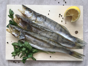 Сырок вяленый: Судак вяленый